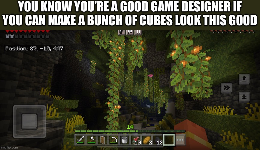 For real tho | YOU KNOW YOU’RE A GOOD GAME DESIGNER IF YOU CAN MAKE A BUNCH OF CUBES LOOK THIS GOOD | image tagged in minecraft | made w/ Imgflip meme maker