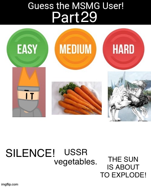 Guess The MSMG User | 29; SILENCE! THE SUN IS ABOUT TO EXPLODE! USSR vegetables. | image tagged in guess the msmg user | made w/ Imgflip meme maker