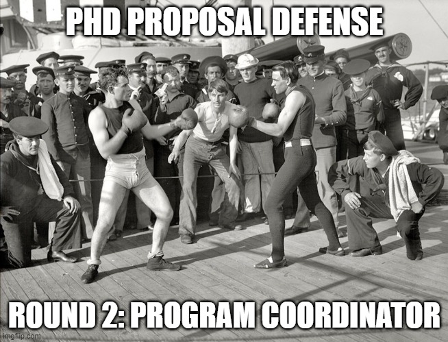 PhD Proposal Defense | PHD PROPOSAL DEFENSE; ROUND 2: PROGRAM COORDINATOR | image tagged in boxers,phd,grad school,proposal | made w/ Imgflip meme maker