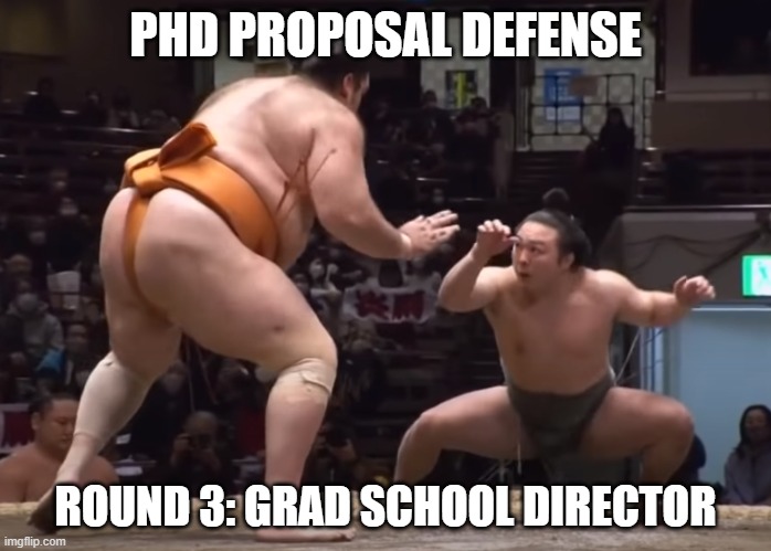 PhD Proposal Defense | PHD PROPOSAL DEFENSE; ROUND 3: GRAD SCHOOL DIRECTOR | image tagged in big vs small sumo,phd,grad school,proposal | made w/ Imgflip meme maker