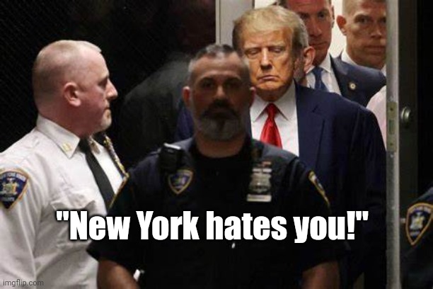 "New York hates you!" | "New York hates you!" | image tagged in trump,new york city,politics | made w/ Imgflip meme maker