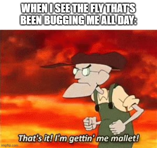 flies are the worst | WHEN I SEE THE FLY THAT'S BEEN BUGGING ME ALL DAY: | image tagged in mallet,funny,memes,fun,annoyed,annoying | made w/ Imgflip meme maker