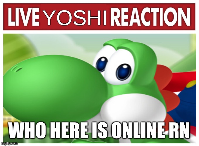 Live Yoshi Reaction | WHO HERE IS ONLINE RN | image tagged in live yoshi reaction | made w/ Imgflip meme maker