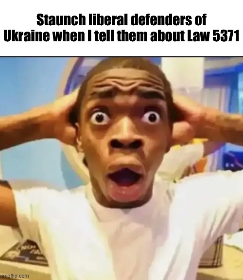 I’m not defending Russia. I’m just saying that I can’t defend Ukraine in good faith either | Staunch liberal defenders of Ukraine when I tell them about Law 5371 | image tagged in surprised black guy | made w/ Imgflip meme maker