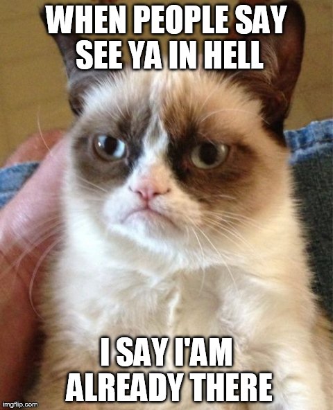 Grumpy Cat Meme | WHEN PEOPLE SAY SEE YA IN HELL I SAY I'AM ALREADY THERE | image tagged in memes,grumpy cat | made w/ Imgflip meme maker
