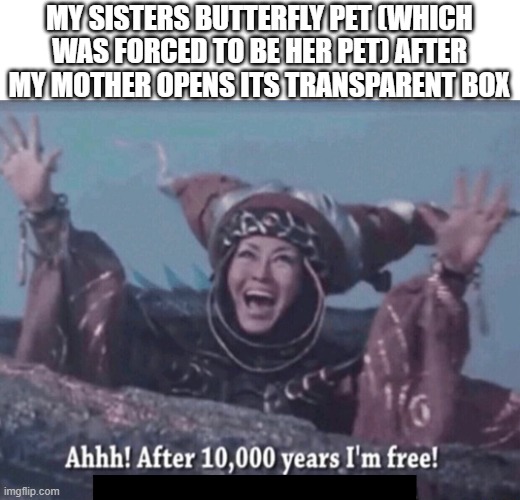 BRUH!!! | MY SISTERS BUTTERFLY PET (WHICH WAS FORCED TO BE HER PET) AFTER MY MOTHER OPENS ITS TRANSPARENT BOX | image tagged in mmpr rita repulsa after 10 000 years i'm free | made w/ Imgflip meme maker