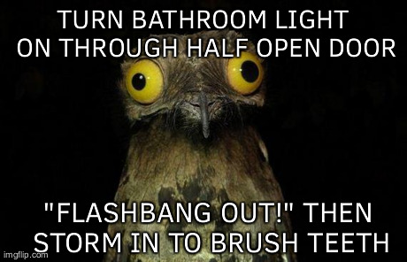 Weird Stuff I Do Potoo Meme | TURN BATHROOM LIGHT ON THROUGH HALF OPEN DOOR "FLASHBANG OUT!" THEN STORM IN TO BRUSH TEETH | image tagged in memes,weird stuff i do potoo,AdviceAnimals | made w/ Imgflip meme maker