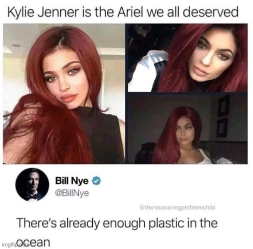 Bill Nye is the guy | image tagged in kylie jenner,kardashians,plastic,ariel | made w/ Imgflip meme maker