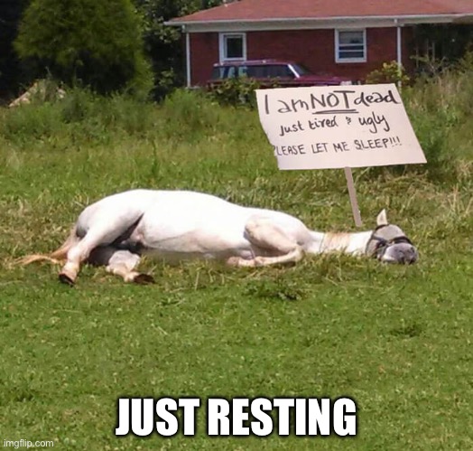 Resting | JUST RESTING | image tagged in rest in peace,horse | made w/ Imgflip meme maker