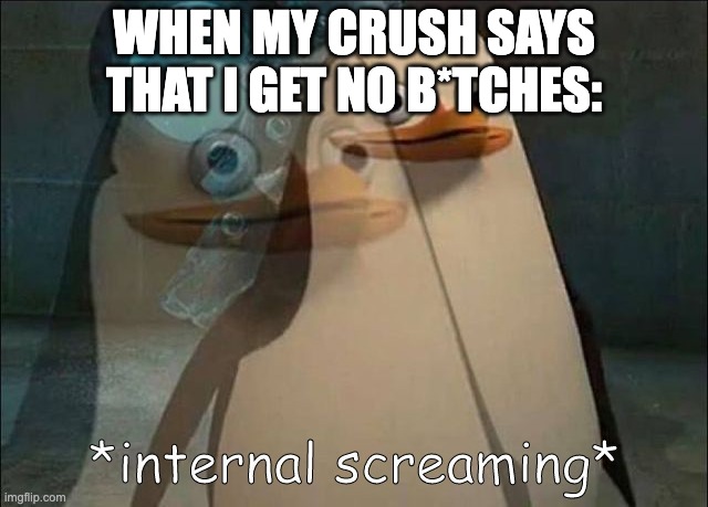 MBFCIS | WHEN MY CRUSH SAYS THAT I GET NO B*TCHES: | image tagged in private internal screaming | made w/ Imgflip meme maker