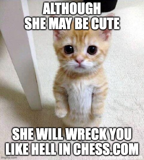 Cat in chess | ALTHOUGH SHE MAY BE CUTE; SHE WILL WRECK YOU LIKE HELL IN CHESS.COM | image tagged in memes,cute cat | made w/ Imgflip meme maker