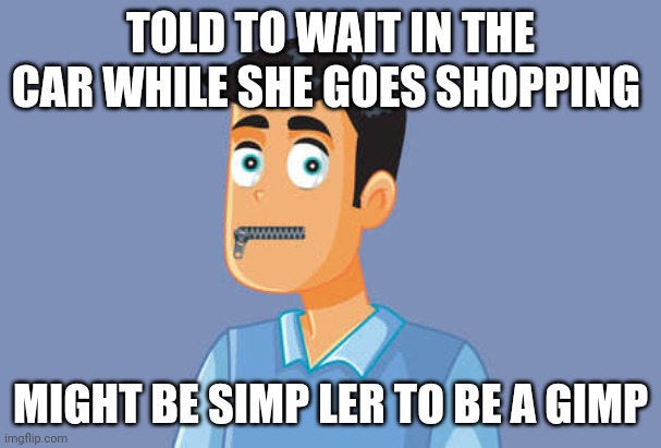 Simp | TOLD TO WAIT IN THE CAR WHILE SHE GOES SHOPPING; MIGHT BE SIMP LER TO BE A GIMP | image tagged in funny memes | made w/ Imgflip meme maker