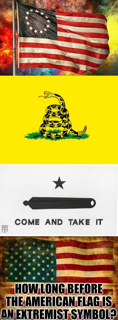 Four of Four are the same thing | HOW LONG BEFORE THE AMERICAN FLAG IS AN EXTREMIST SYMBOL? | image tagged in betsy ross flag,gadsden flag,old american flag,extremist symbols,they hate you | made w/ Imgflip meme maker