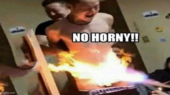 No horny! | image tagged in no horny | made w/ Imgflip meme maker