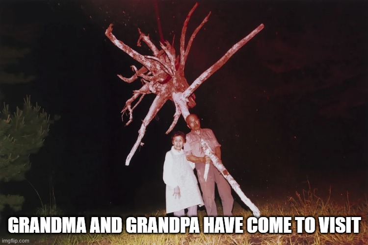 Don't Let Them In | GRANDMA AND GRANDPA HAVE COME TO VISIT | image tagged in unsee juice | made w/ Imgflip meme maker