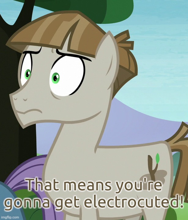 Shocked Mudbriar (MLP) | That means you're gonna get electrocuted! | image tagged in shocked mudbriar mlp | made w/ Imgflip meme maker