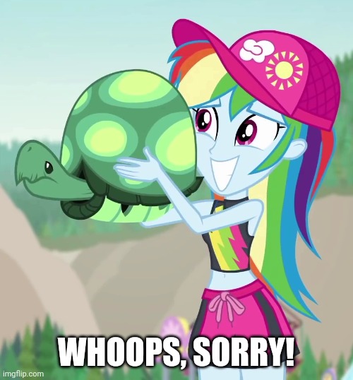 WHOOPS, SORRY! | made w/ Imgflip meme maker