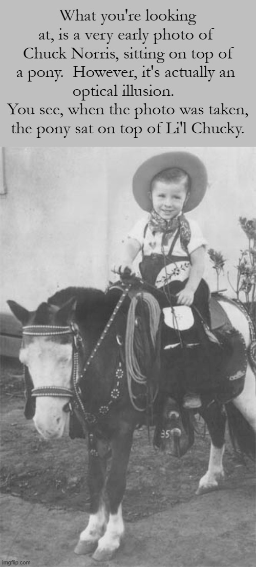 Total Norrisense | What you're looking at, is a very early photo of 
Chuck Norris, sitting on top of a pony.  However, it's actually an 
optical illusion.  
You see, when the photo was taken, the pony sat on top of Li'l Chucky. | image tagged in baby,chuck norris,pony,photo,optical illusion | made w/ Imgflip meme maker