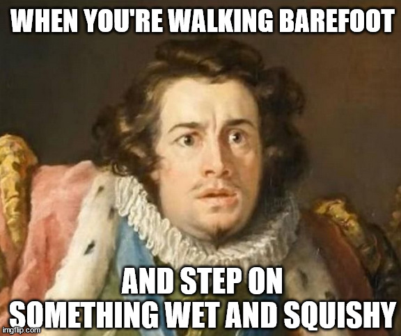 and it goes in between your toes....eeeewwww | WHEN YOU'RE WALKING BAREFOOT; AND STEP ON SOMETHING WET AND SQUISHY | image tagged in concerned man,gross,fun,relatable,send help | made w/ Imgflip meme maker