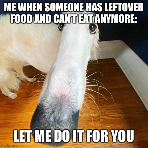 Let me do it for you... | ME WHEN SOMEONE HAS LEFTOVER FOOD AND CAN’T EAT ANYMORE:; LET ME DO IT FOR YOU | image tagged in let me do it for you | made w/ Imgflip meme maker