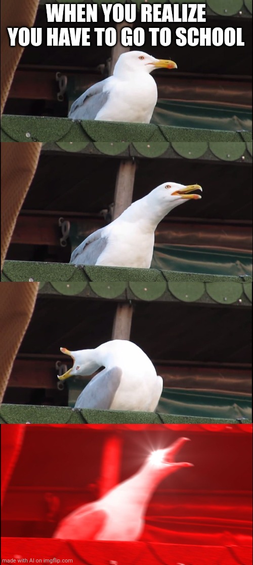 It's been ten years and this is still how I feel about it | WHEN YOU REALIZE YOU HAVE TO GO TO SCHOOL | image tagged in memes,inhaling seagull,school,going to school,panic | made w/ Imgflip meme maker