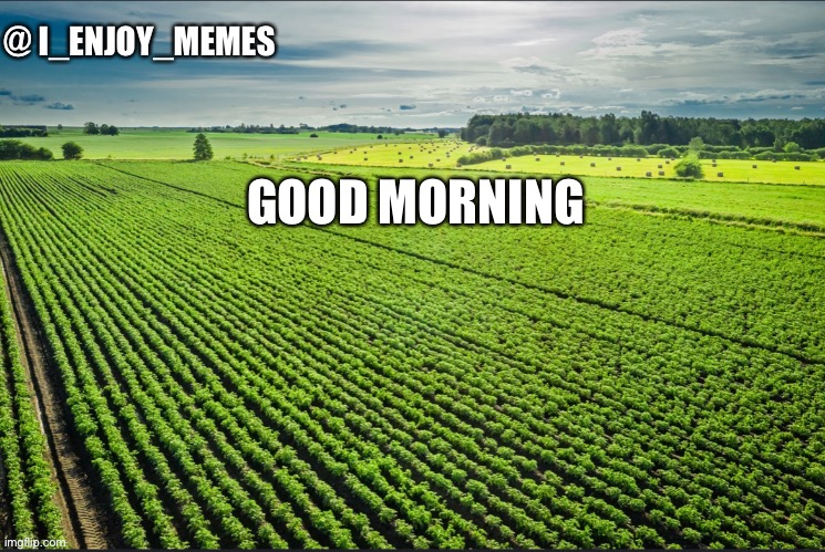 I_enjoy_memes_template | GOOD MORNING | image tagged in i_enjoy_memes_template | made w/ Imgflip meme maker
