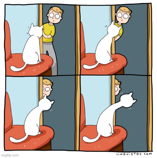A Cat Guy's Way Of Thinking | image tagged in memes,comics/cartoons,playing,cats,stretch,i see you | made w/ Imgflip meme maker