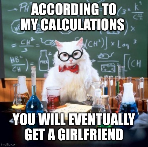 Dude, you have to admit that you won’t be single forever | ACCORDING TO MY CALCULATIONS; YOU WILL EVENTUALLY GET A GIRLFRIEND | image tagged in memes,chemistry cat | made w/ Imgflip meme maker
