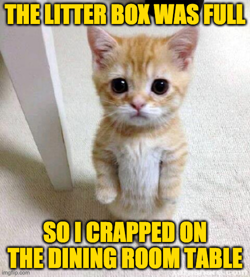 I'll be here all week. | THE LITTER BOX WAS FULL; SO I CRAPPED ON THE DINING ROOM TABLE | image tagged in memes,cute cat,cat humor | made w/ Imgflip meme maker