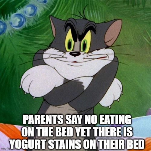 Hit an infant if you understood | PARENTS SAY NO EATING ON THE BED YET THERE IS YOGURT STAINS ON THEIR BED | image tagged in angry tom | made w/ Imgflip meme maker