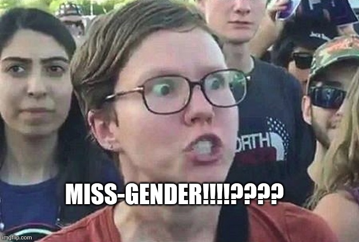 Triggered Liberal | MISS-GENDER!!!!???? | image tagged in triggered liberal | made w/ Imgflip meme maker