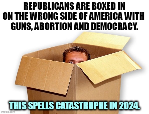 America hates MAGA, and MAGA doesn't know it, or at least won't admit it. Endless frustration on both sides. | REPUBLICANS ARE BOXED IN ON THE WRONG SIDE OF AMERICA WITH 
GUNS, ABORTION AND DEMOCRACY. THIS SPELLS CATASTROPHE IN 2024. | image tagged in republicans,wrong,guns,abortion,democracy,losers | made w/ Imgflip meme maker
