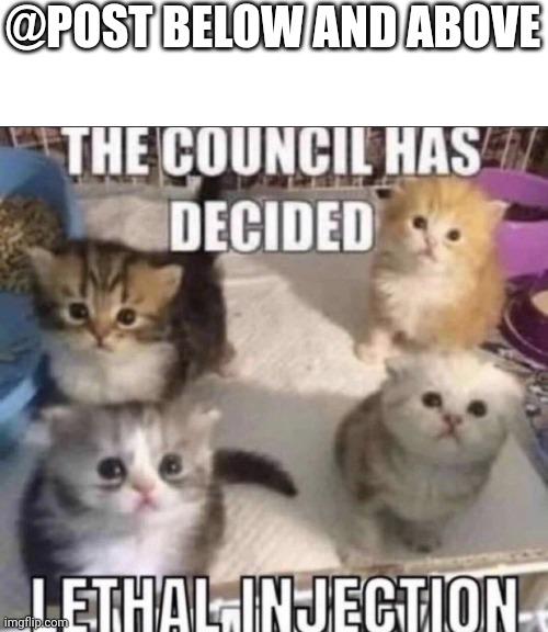 The council has decided lethal injection | @POST BELOW AND ABOVE | image tagged in the council has decided lethal injection | made w/ Imgflip meme maker