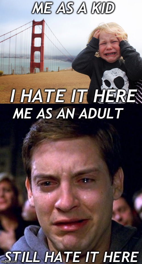 Still f’n here | ME AS A KID; I HATE IT HERE; ME AS AN ADULT; STILL HATE IT HERE | image tagged in existential crisis kid,crying peter parker | made w/ Imgflip meme maker