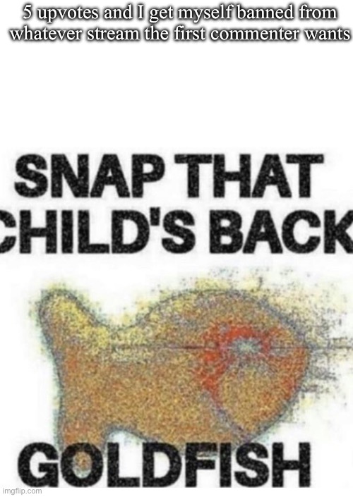 Snap That Child’s Back | 5 upvotes and I get myself banned from whatever stream the first commenter wants | image tagged in snap that child s back | made w/ Imgflip meme maker