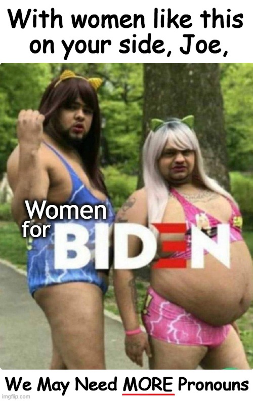 And We'll Definitely Need MORE Adjectives! | With women like this 
on your side, Joe, Women; for; We May Need MORE Pronouns | image tagged in politics,political humor,women,joe biden,pronouns,imgflip humor | made w/ Imgflip meme maker