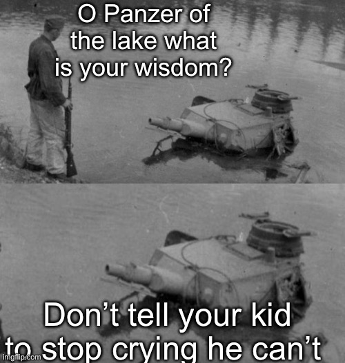 Panzer of the lake | O Panzer of the lake what is your wisdom? Don’t tell your kid to stop crying he can’t | image tagged in panzer of the lake | made w/ Imgflip meme maker