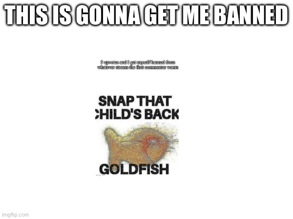 5 upvotes and I get banned from stream the first person comments that what the image says | THIS IS GONNA GET ME BANNED | made w/ Imgflip meme maker