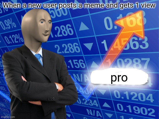 L00l | When a new user posts a meme and gets 1 view; pro | image tagged in empty stonks | made w/ Imgflip meme maker