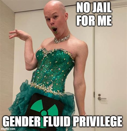 Gender Fluid Privilege is now a thing. | NO JAIL FOR ME; GENDER FLUID PRIVILEGE | image tagged in sam brinton,gender fluid privilege,no jail,common thief,i steal what i want,luggage | made w/ Imgflip meme maker