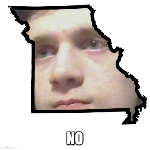 Corrupt IRL please end my Missouri | NO | image tagged in corrupt irl please end my missouri | made w/ Imgflip meme maker