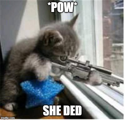 *POW* SHE DED | image tagged in cats with guns | made w/ Imgflip meme maker