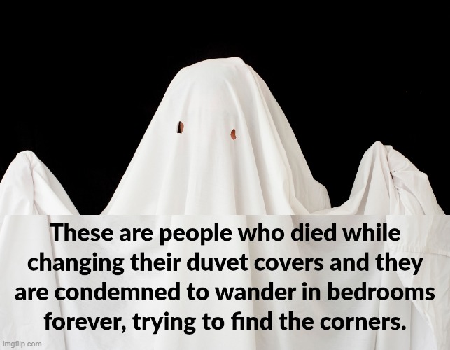 Duvet Devils | image tagged in lost in space | made w/ Imgflip meme maker