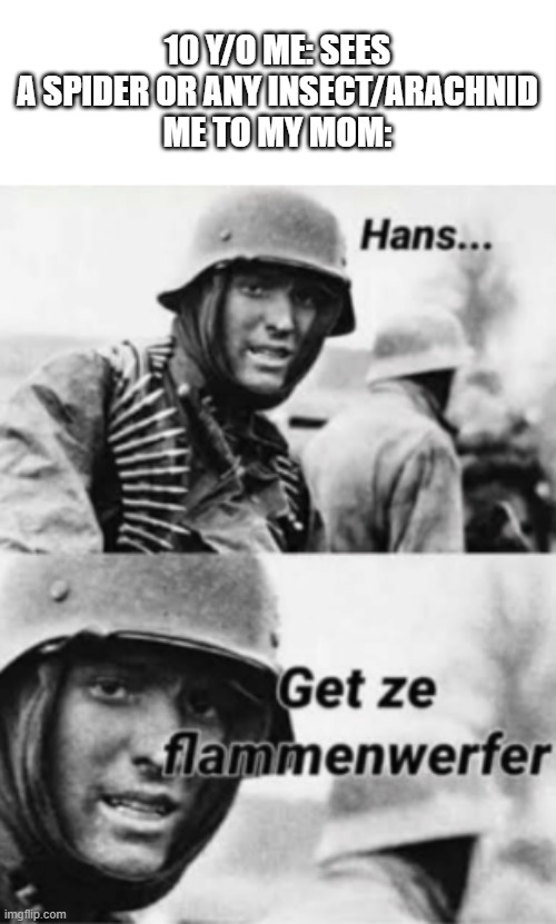 Hans, Get ze flammenwerfer | 10 Y/O ME: SEES A SPIDER OR ANY INSECT/ARACHNID
ME TO MY MOM: | image tagged in hans get ze flammenwerfer | made w/ Imgflip meme maker