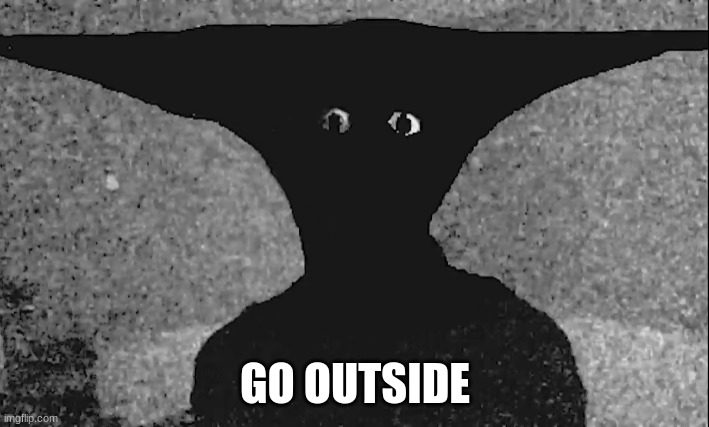 When did you last go outside | GO OUTSIDE | image tagged in when did you last go outside | made w/ Imgflip meme maker