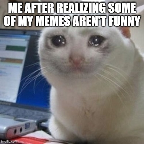 just realized it when i was going through my memes | ME AFTER REALIZING SOME OF MY MEMES AREN'T FUNNY | image tagged in crying cat | made w/ Imgflip meme maker