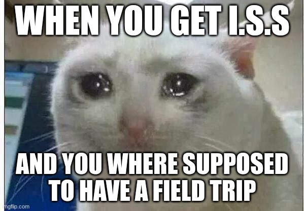 I.S.S | WHEN YOU GET I.S.S; AND YOU WHERE SUPPOSED TO HAVE A FIELD TRIP | image tagged in crying cat | made w/ Imgflip meme maker