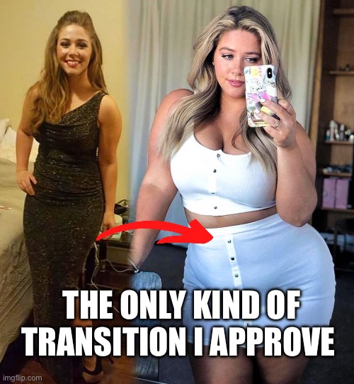Yesss | THE ONLY KIND OF TRANSITION I APPROVE | image tagged in sexy,big boobs | made w/ Imgflip meme maker