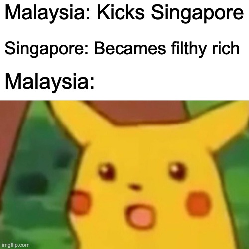 Malaysia's stupidest decision | Malaysia: Kicks Singapore; Singapore: Becames filthy rich; Malaysia: | image tagged in memes,surprised pikachu | made w/ Imgflip meme maker