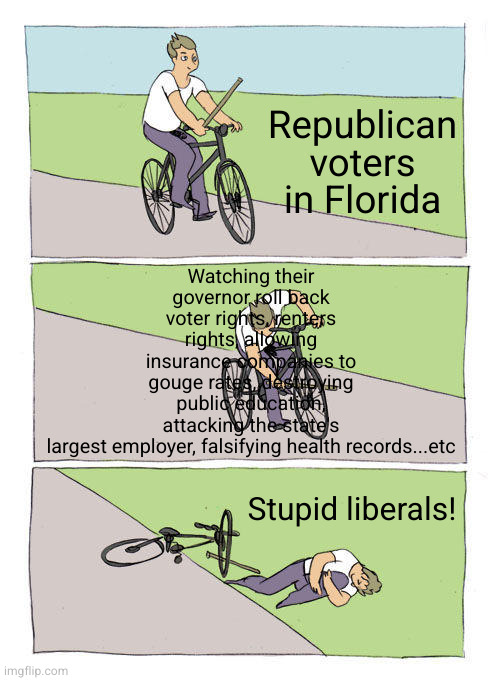 Hey you're the idiots that vote to hurt yourself because you are good mindless sheep | Republican voters in Florida; Watching their governor roll back voter rights, renters rights, allowing insurance companies to gouge rates, destroying public education, attacking the state's largest employer, falsifying health records...etc; Stupid liberals! | image tagged in memes,bike fall | made w/ Imgflip meme maker